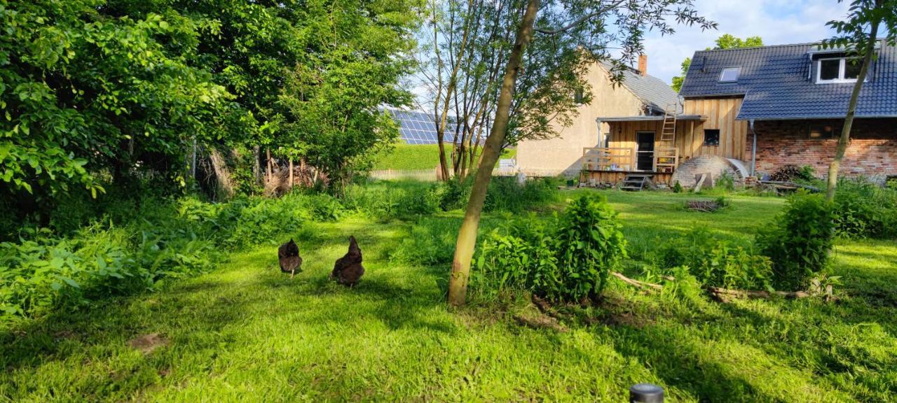 Ferienwohnung & Campingplatz Vor Dem Berg Heideblick Esterno foto