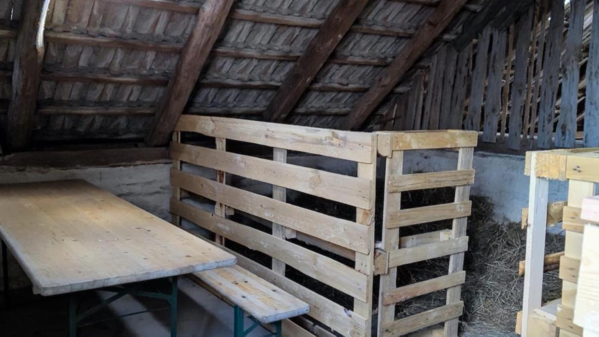 Ferienwohnung & Campingplatz Vor Dem Berg Heideblick Esterno foto